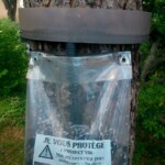 Piégeage de chenilles processionnaires elagage, élagage, abattage, tailles, var, Toulon, Hyères, la seyne sur mer, Six fours, Saint Tropez